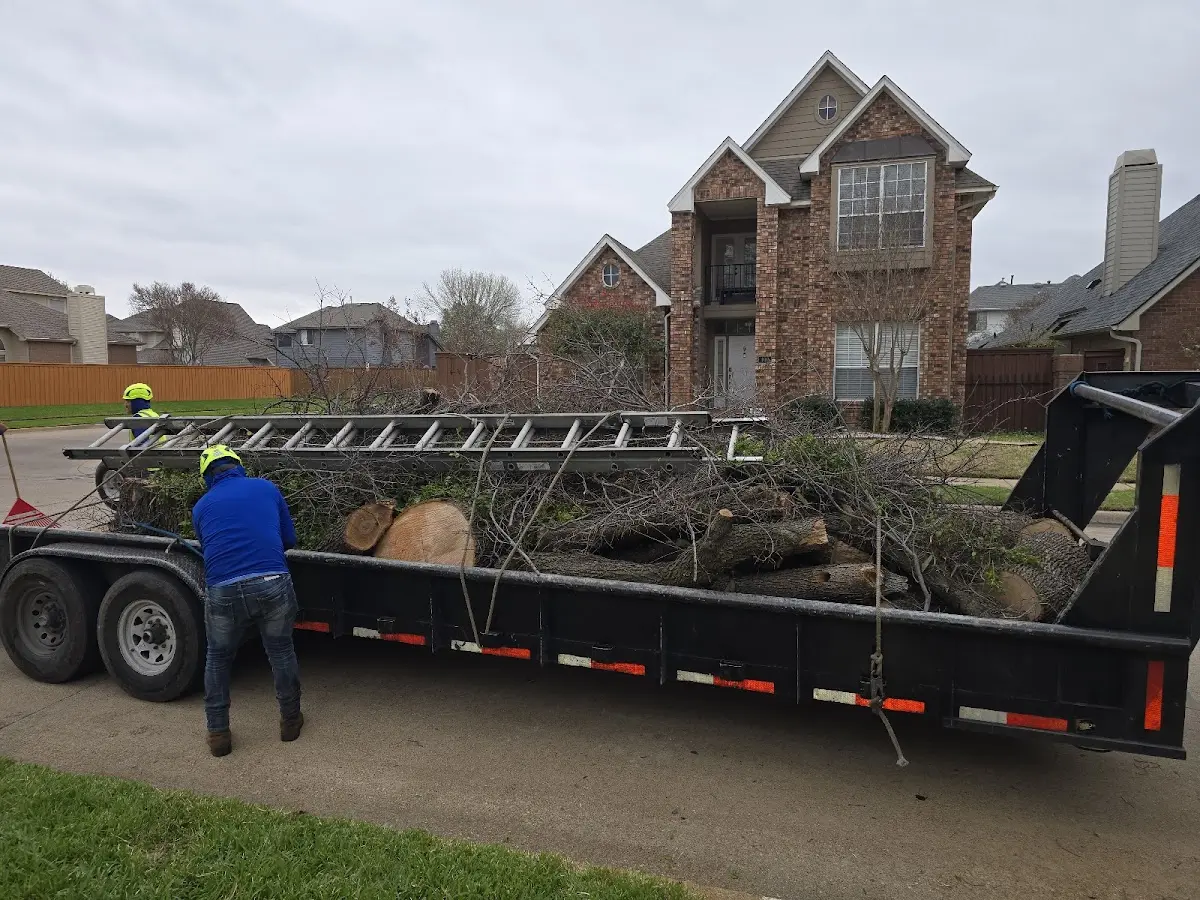 Expert Crown Reduction with proper safety equipment in Luverne